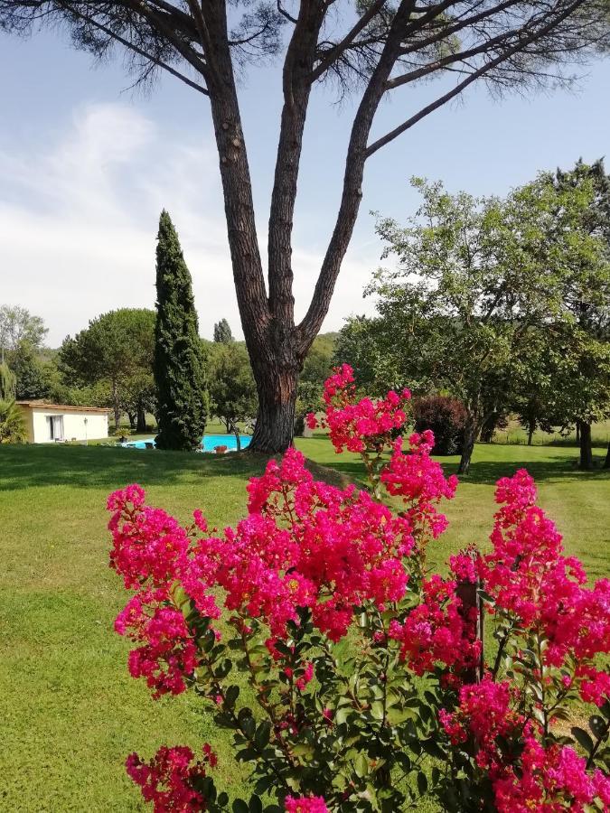 Domaine De Poudos Bed and Breakfast Auterive  Buitenkant foto